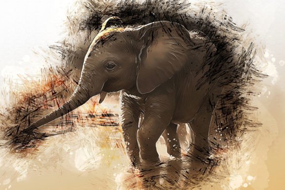 Printable Animal Graphics #23: Elevate Your Creative Projects